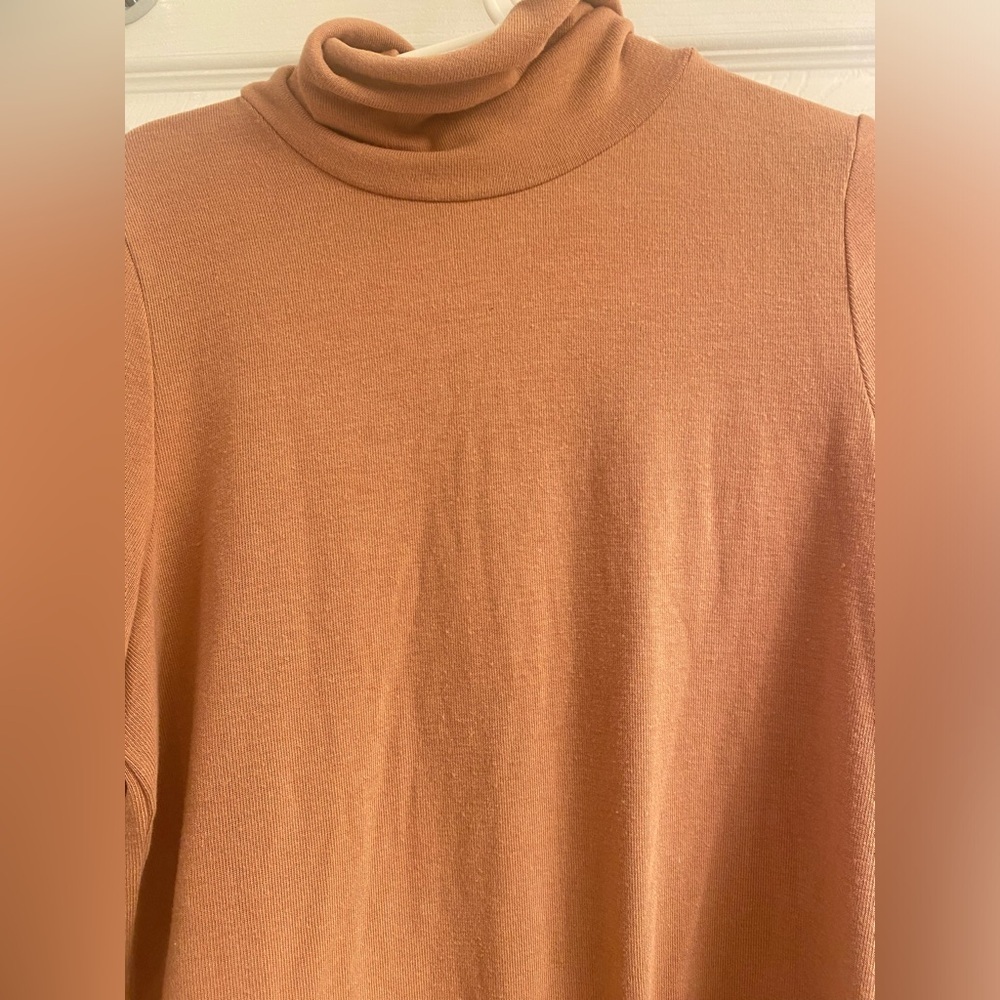 Aritzia Sunday Best Turtleneck Long Sleeve Top size L - Picture 5 of 5